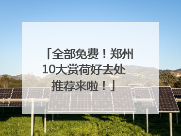 全部免费！郑州10大赏荷好去处推荐来啦！
