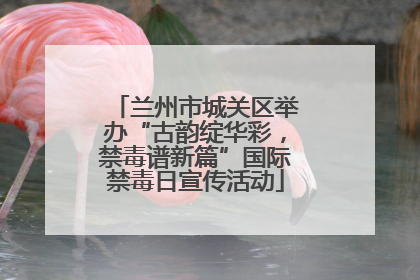 兰州市城关区举办“古韵绽华彩，禁毒谱新篇”国际禁毒日宣传活动