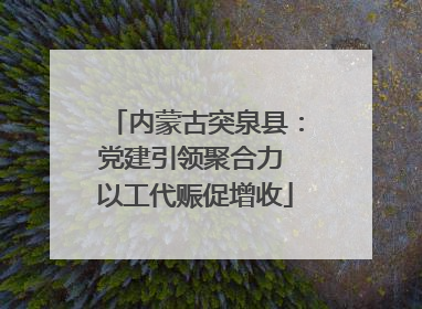 内蒙古突泉县：党建引领聚合力 以工代赈促增收