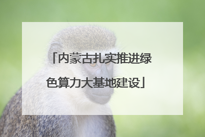 内蒙古扎实推进绿色算力大基地建设