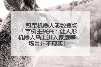 冠军机器人悉数登场！宇树王兴兴：让人形机器人马上进入家庭等场景并不现实