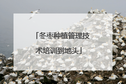 冬枣种植管理技术培训到地头