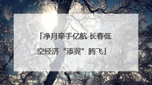 净月牵手亿航 长春低空经济“添翼”腾飞