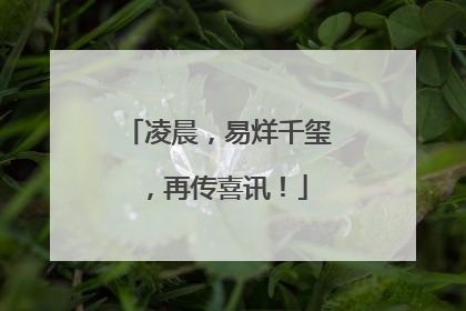 凌晨，易烊千玺，再传喜讯！