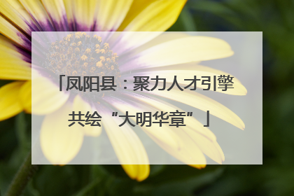 凤阳县：聚力人才引擎 共绘“大明华章”