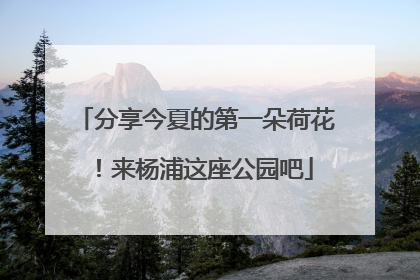 分享今夏的第一朵荷花！来杨浦这座公园吧