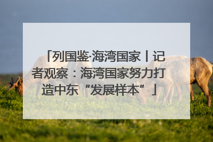 列国鉴·海湾国家丨记者观察：海湾国家努力打造中东“发展样本”