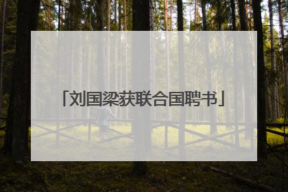 刘国梁获联合国聘书