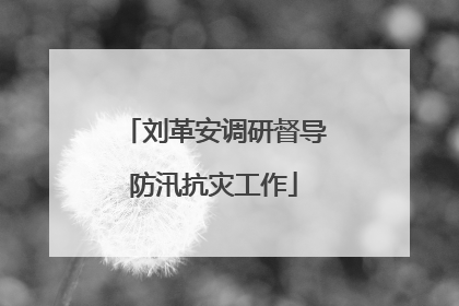 刘革安调研督导防汛抗灾工作