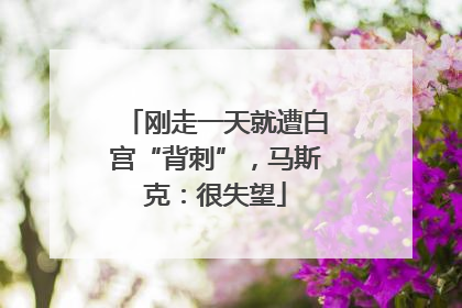 刚走一天就遭白宫“背刺”，马斯克：很失望