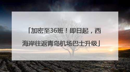 加密至36班！即日起，西海岸往返青岛机场巴士升级