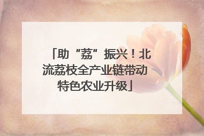 助“荔”振兴！北流荔枝全产业链带动特色农业升级