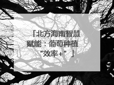 北方海南智慧赋能：葡萄种植“效率+”