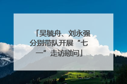 吴毓舟、刘永强分别带队开展“七一”走访慰问