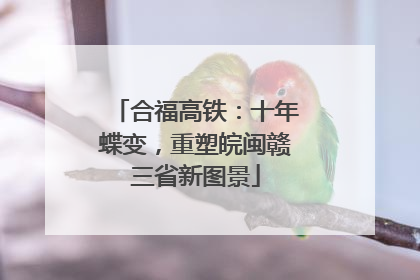 合福高铁：十年蝶变，重塑皖闽赣三省新图景