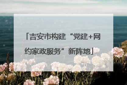 吉安市构建“党建+网约家政服务”新阵地