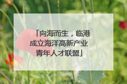 向海而生，临港成立海洋高新产业青年人才联盟