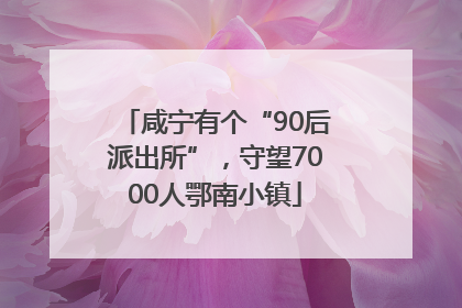 咸宁有个“90后派出所”，守望7000人鄂南小镇