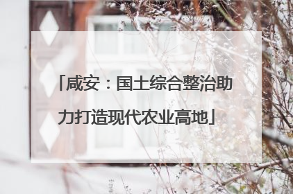 咸安：国土综合整治助力打造现代农业高地