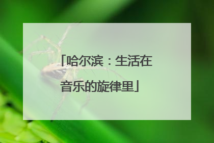 哈尔滨：生活在音乐的旋律里