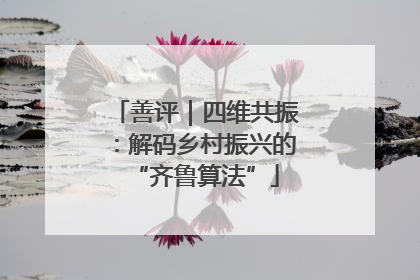 善评｜四维共振：解码乡村振兴的“齐鲁算法”
