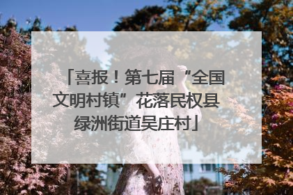 喜报！第七届“全国文明村镇”花落民权县绿洲街道吴庄村