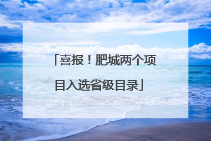 喜报！肥城两个项目入选省级目录