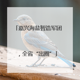 嘉兴海盐智造军团，全省“出圈”