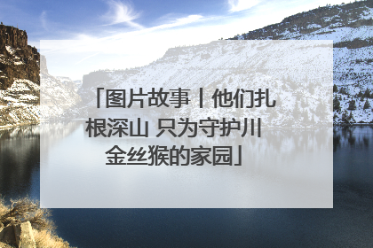 图片故事丨他们扎根深山 只为守护川金丝猴的家园
