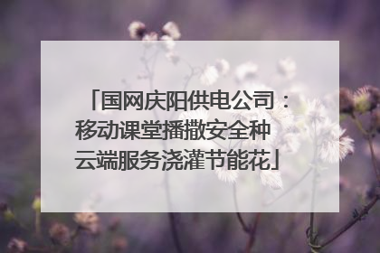 国网庆阳供电公司：移动课堂播撒安全种 云端服务浇灌节能花