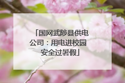 国网武陟县供电公司：用电进校园  安全过暑假
