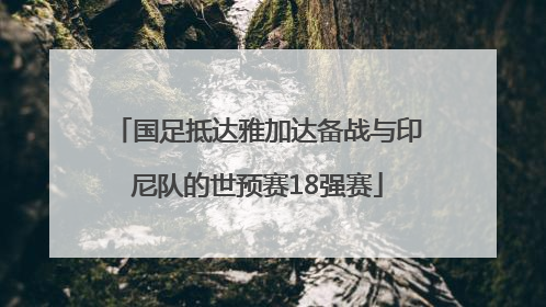 国足抵达雅加达备战与印尼队的世预赛18强赛
