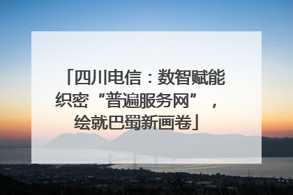 四川电信：数智赋能织密“普遍服务网”，绘就巴蜀新画卷