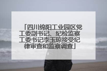 四川绵阳工业园区党工委副书记、纪检监察工委书记李玉琼接受纪律审查和监察调查