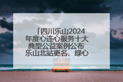 四川乐山2024年度心连心服务十大典型公益案例公布 乐山北站更名、绿心路井盖治理等上榜