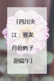 四川夹江：赛龙舟抢鸭子迎端午