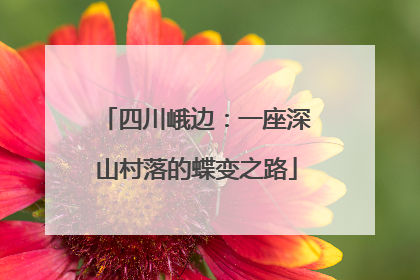 四川峨边：一座深山村落的蝶变之路