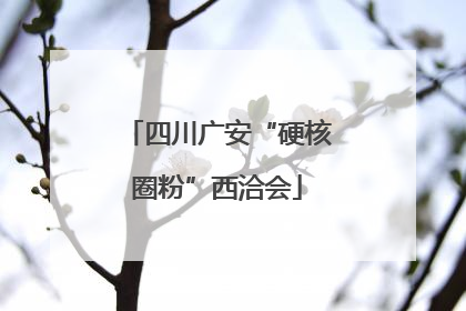 四川广安“硬核圈粉”西洽会