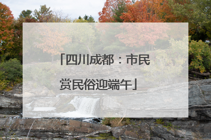 四川成都：市民赏民俗迎端午