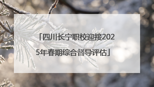 四川长宁职校迎接2025年春期综合督导评估