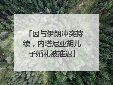 因与伊朗冲突持续，内塔尼亚胡儿子婚礼被推迟