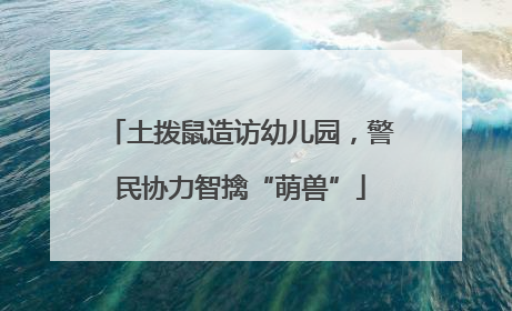 土拨鼠造访幼儿园，警民协力智擒“萌兽”