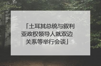 土耳其总统与叙利亚政权领导人就双边关系等举行会谈