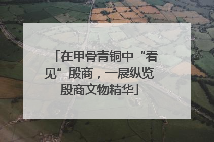 在甲骨青铜中“看见”殷商，一展纵览殷商文物精华