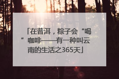 在普洱，粽子会“喝”咖啡——有一种叫云南的生活之365天