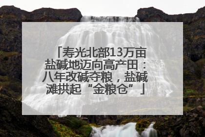 寿光北部13万亩盐碱地迈向高产田：八年改碱夺粮，盐碱滩拱起“金粮仓”