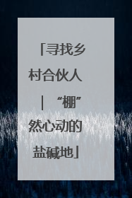 寻找乡村合伙人｜“棚”然心动的盐碱地
