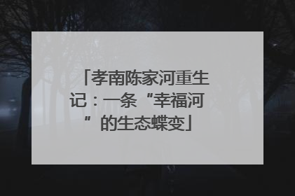 孝南陈家河重生记：一条“幸福河”的生态蝶变