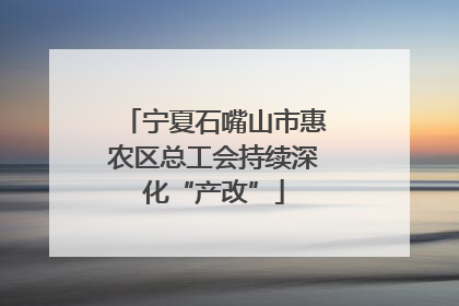 宁夏石嘴山市惠农区总工会持续深化“产改”