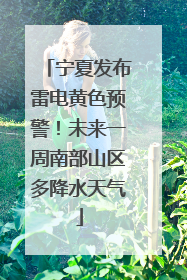 宁夏发布雷电黄色预警！未来一周南部山区多降水天气